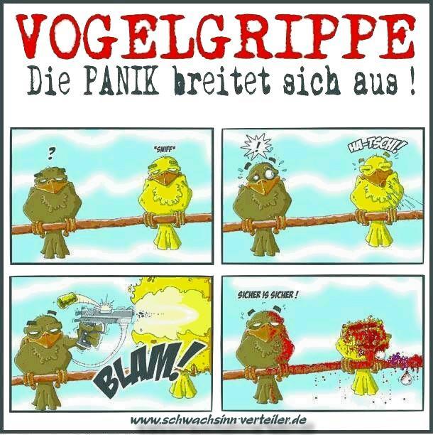 Vogelgrippe