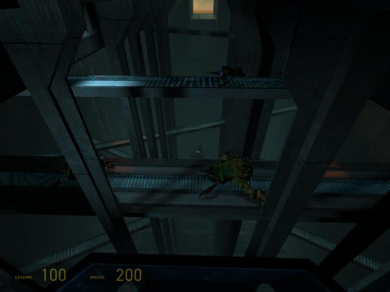 HL2 Vieh