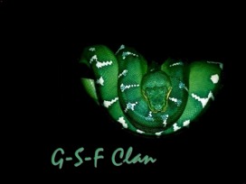 Mein Clan