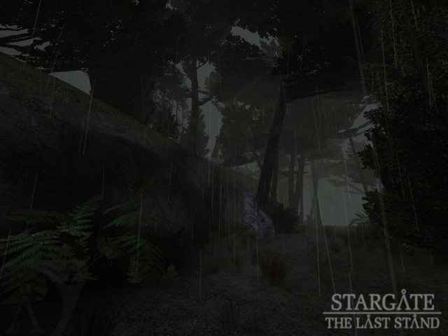 Forest