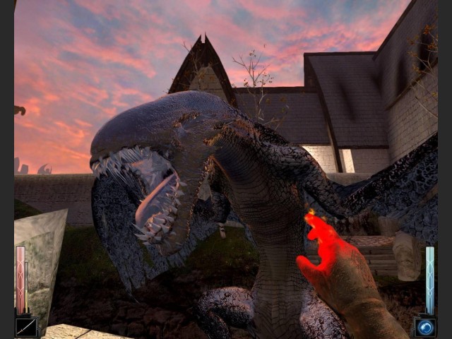 Drache