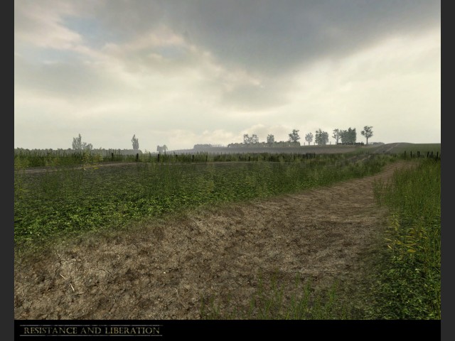 Bild 15432