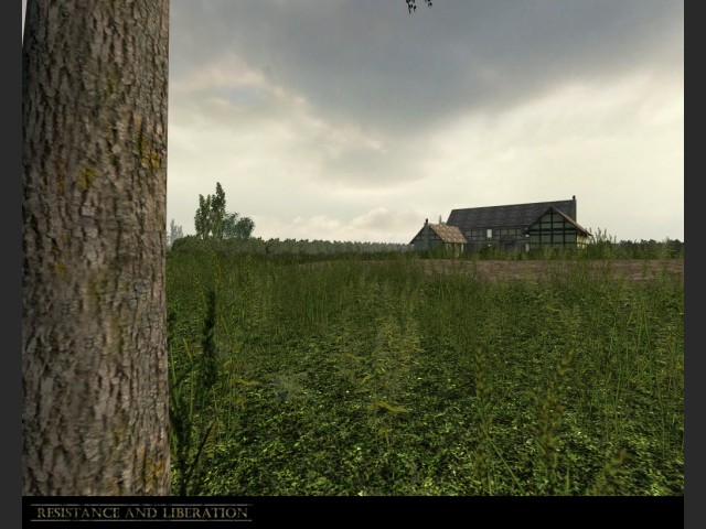 Bild 15436