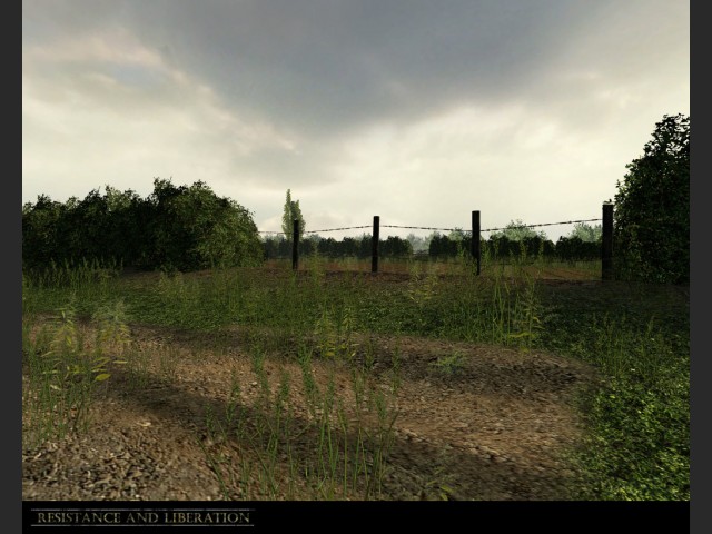 Bild 15437