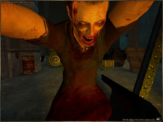 Bild 15528