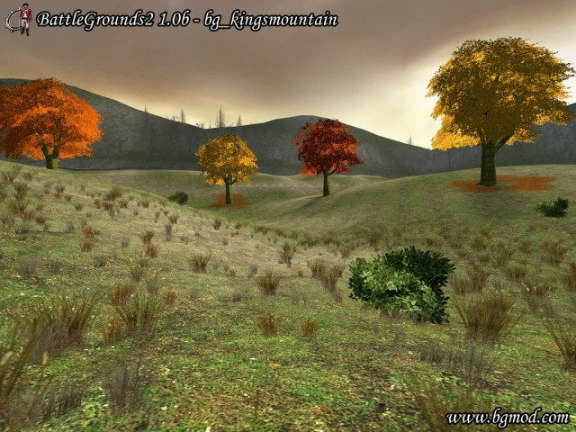 Bild 16978