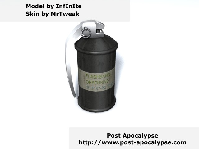 Ein Flashbang Model