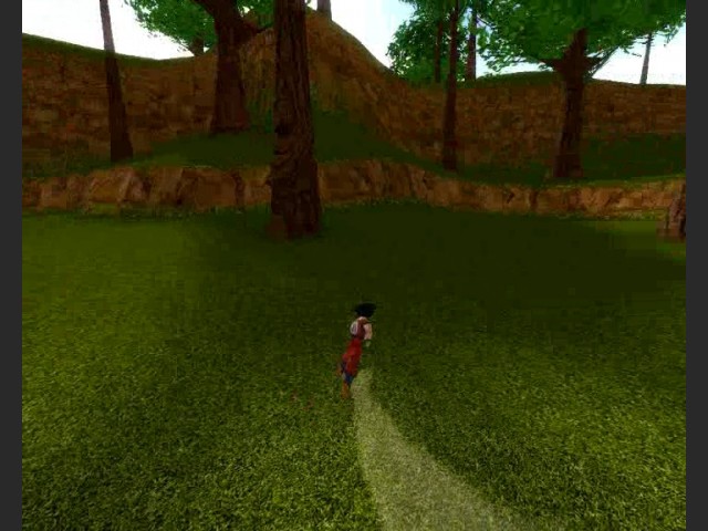Dragonball: Source - Video