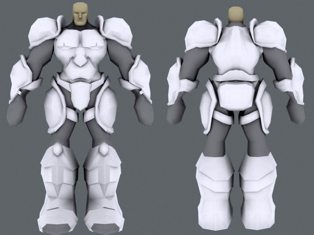 Paladin