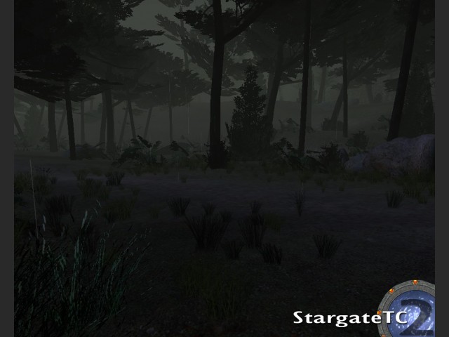 Maps: Forest