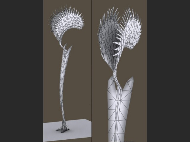Venus Fliegenfalle