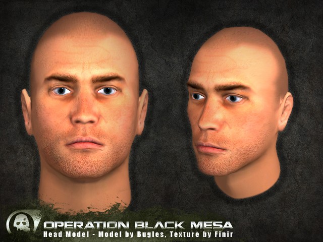 Operation Black Mesa