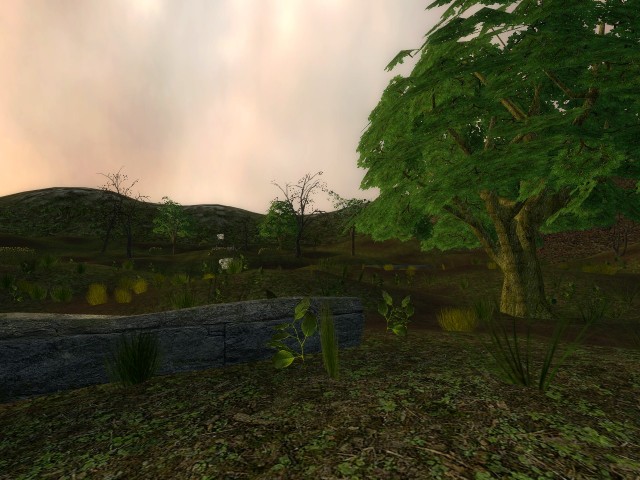bg_road