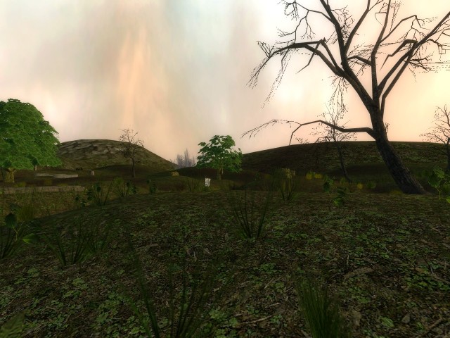 bg_road