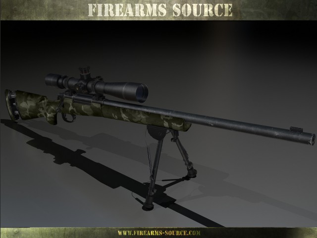 M24 SWS