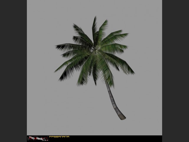 Palme