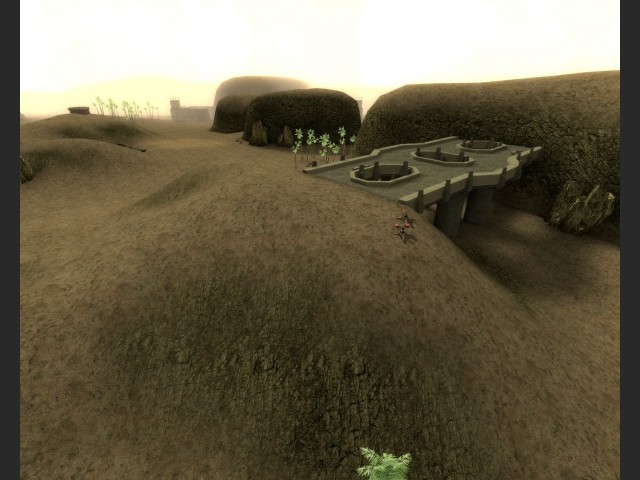 Eindrcke von emp_arid