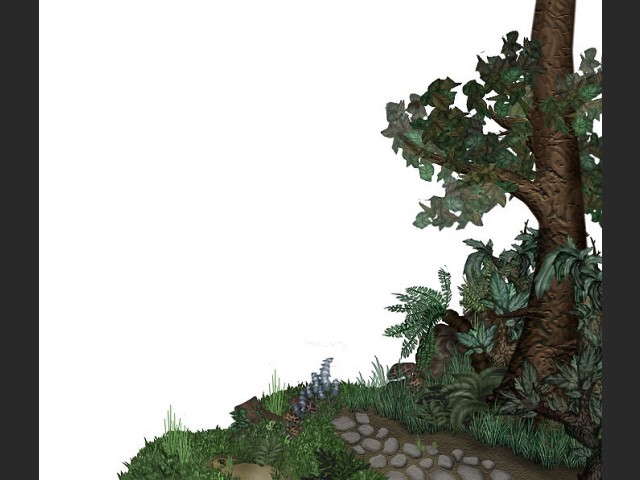 Cover in 2D