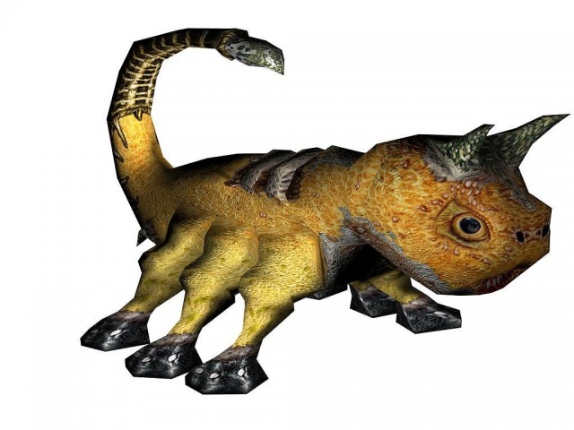 Stachi in 3D