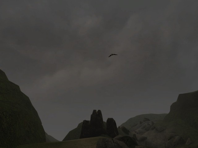 eine Mve unter bedecktem Himmel