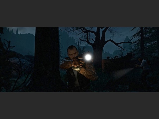 widescreen 06