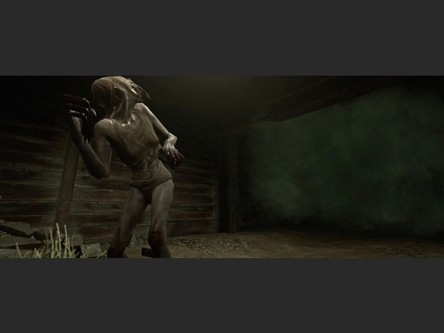 widescreen 20