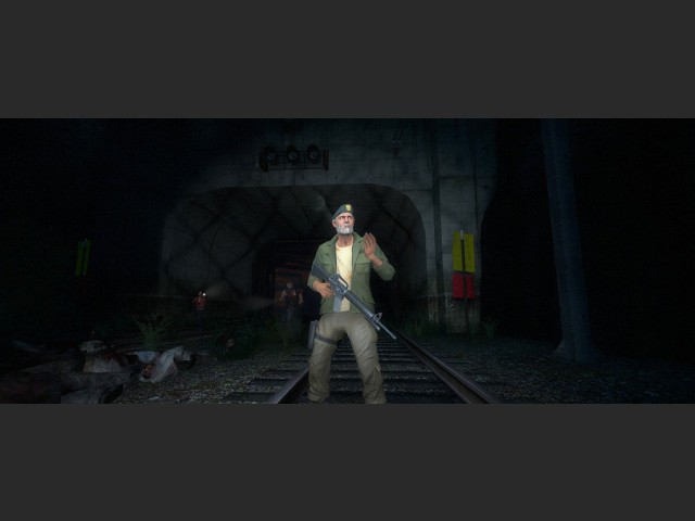 widescreen 21