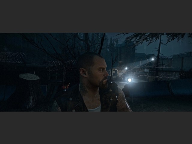widescreen 33