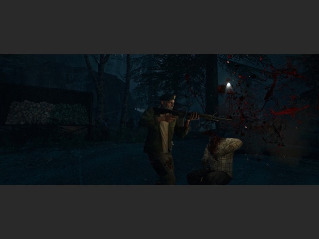 widescreen 34