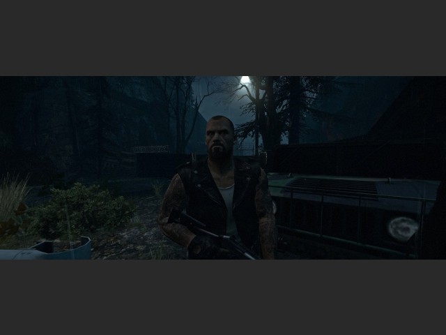 widescreen 37