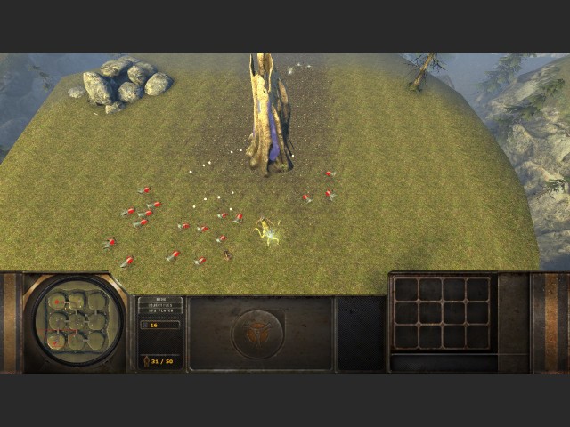 Ingame