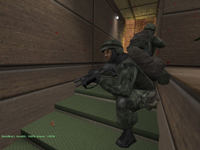 Ingame-Pic