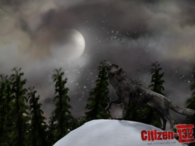 Modell-Render