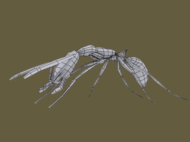 Insektenrender