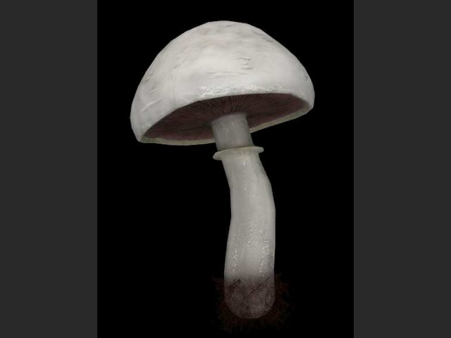 *miam* ein Pilz