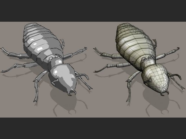 Termite - Arbeiterklasse