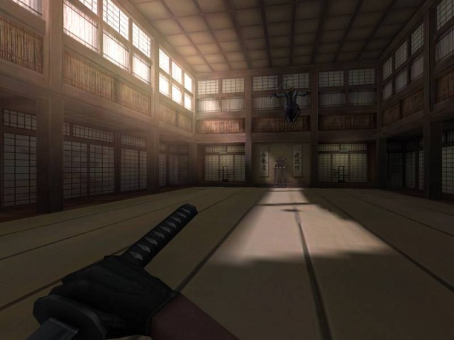 ts_dojo ingame