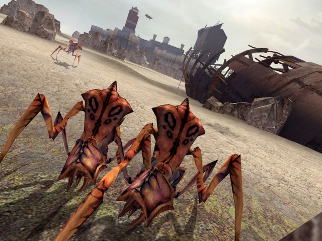 Ant Lions