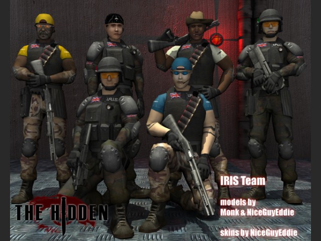 I.R.I.S. Team