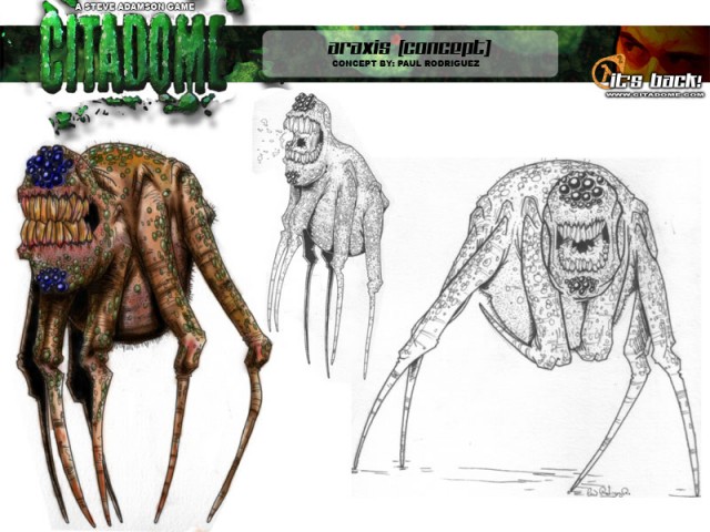 Zeichnung Araxis