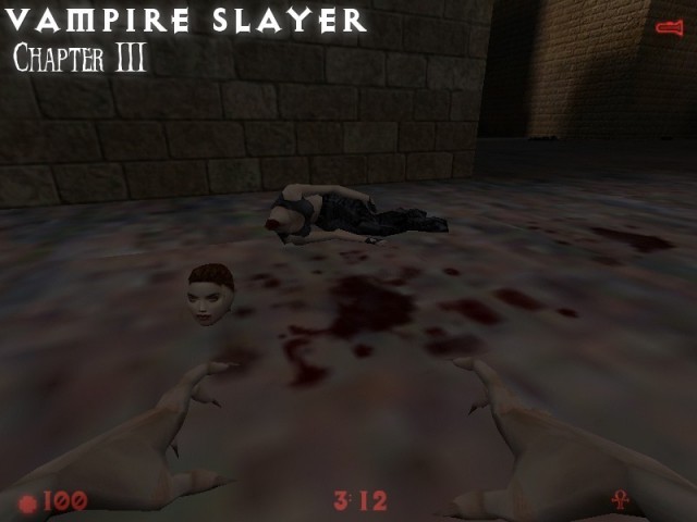 Vampire Slayer ingame