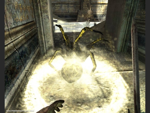 Nahkampf mit einer Spinne