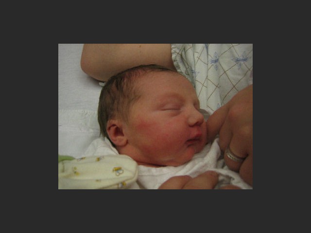 Baby der Hostile Intent-Devs