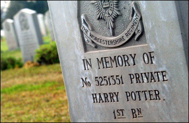 R.I.P. Harry Potter