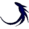 Nocturael