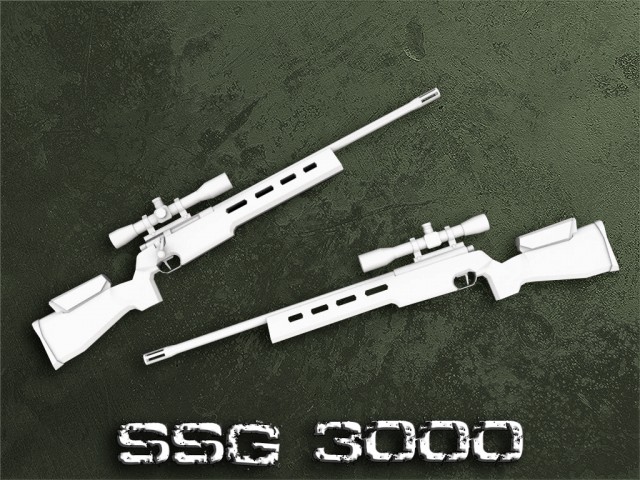 SSG 3000