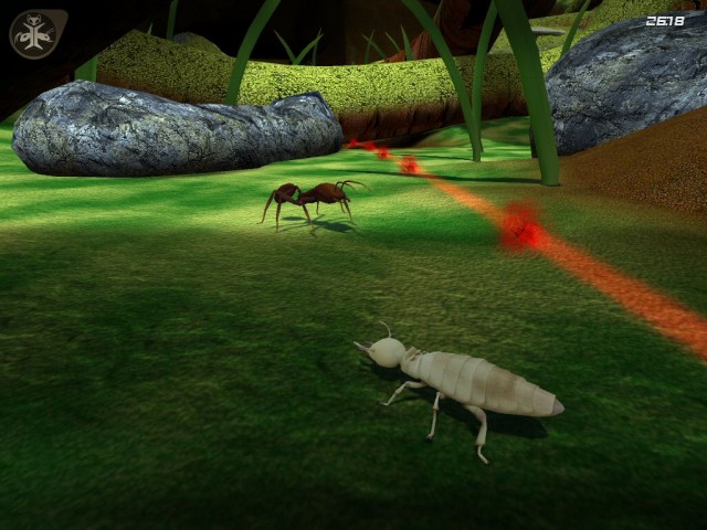 Ameisen Soldat vs Termiten Arbeiter