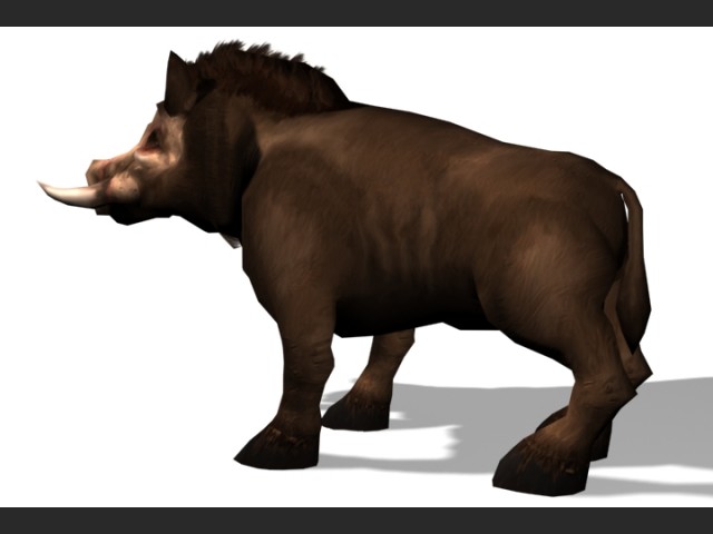 Wildschwein