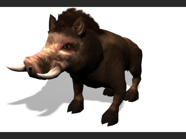 Wildschwein