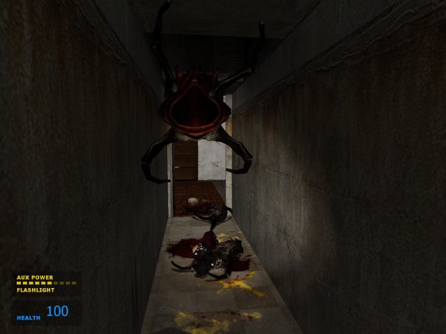 aufdringliche Bewohner